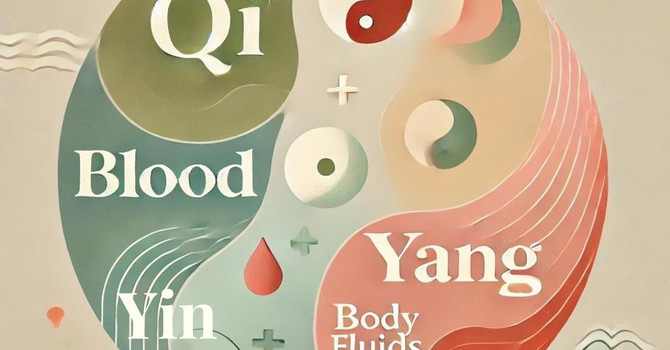 Understanding the Menstrual Cycle Through the Lens of Traditional Chinese Medicine (TCM)