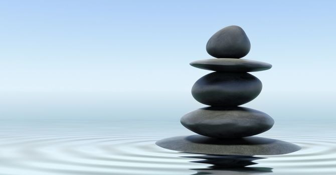 From Dysregulation to Regulation: Understanding Balance in the Body and Mind